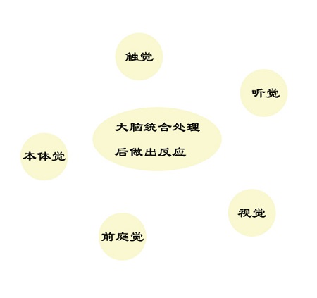 5歲女兒注意力不集中可能是感統(tǒng)失調(diào)導(dǎo)致的